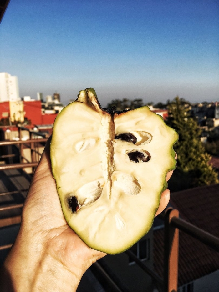 Фрукт черимойя