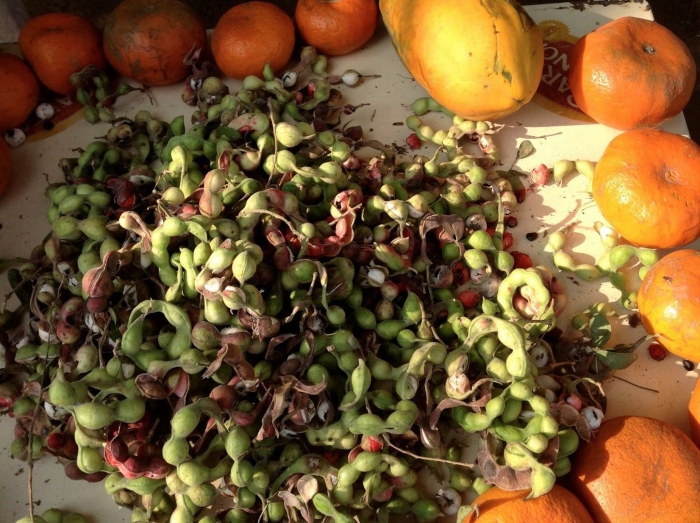 Фрукты мексики