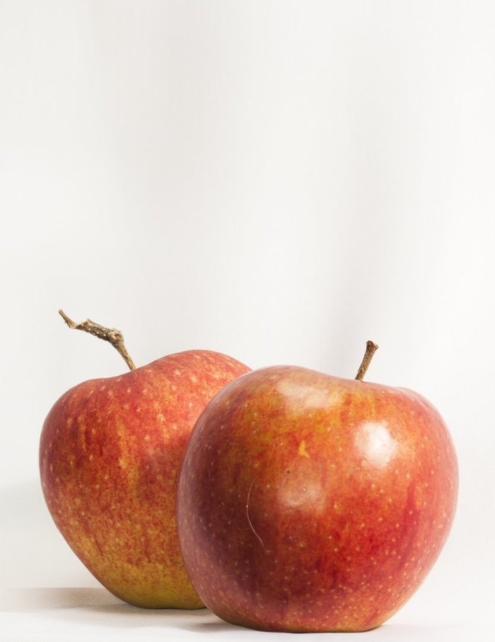 Сорт яблок гала