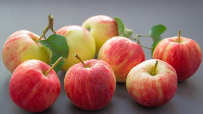 Яблоня коричное полосатое