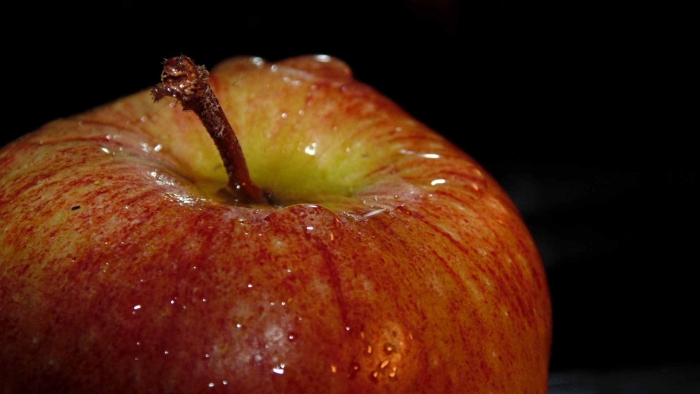 Фотографии яблок