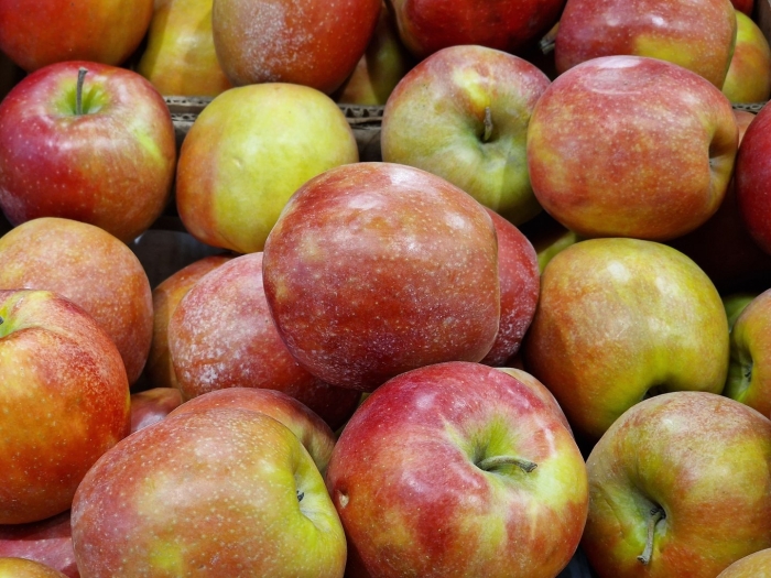 Фуджи сорт яблок