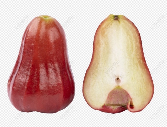 Wax apple