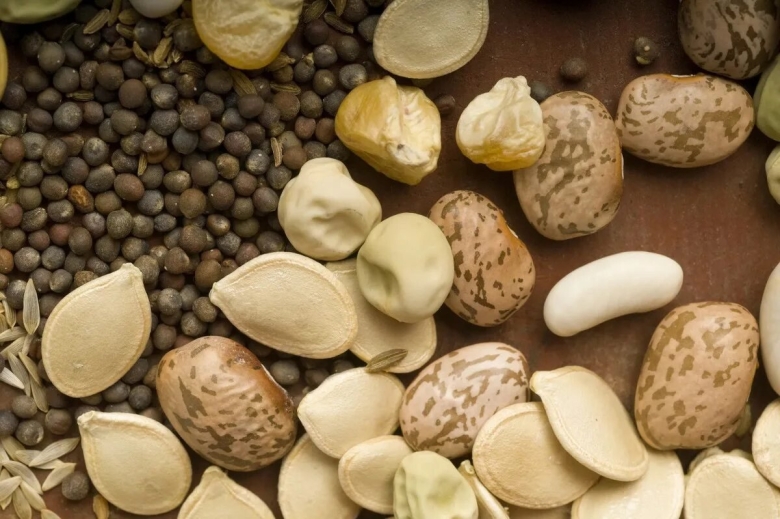 Семена растений для детей