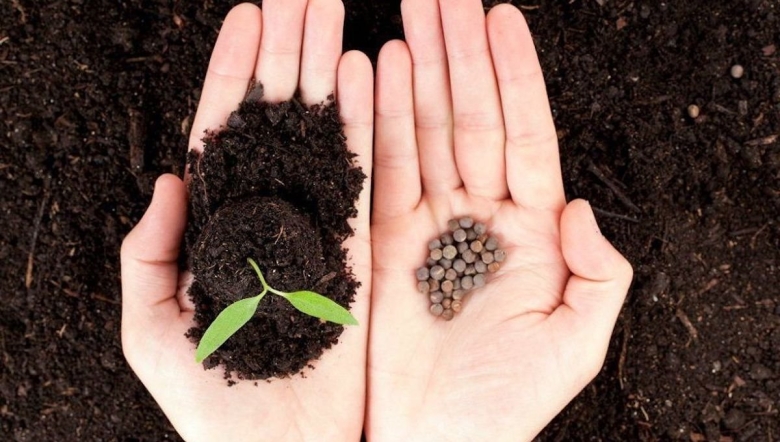 Посев семян