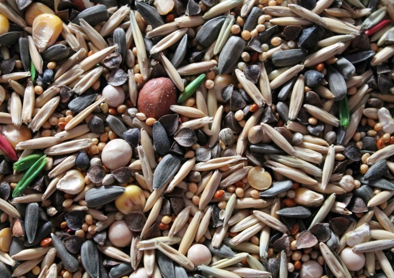Семена различных растений
