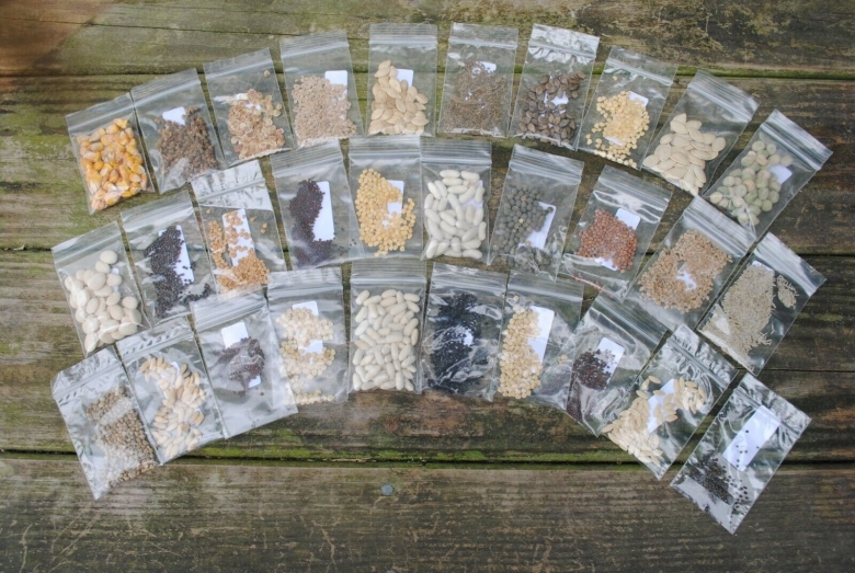 Хранение пакетов с семенами