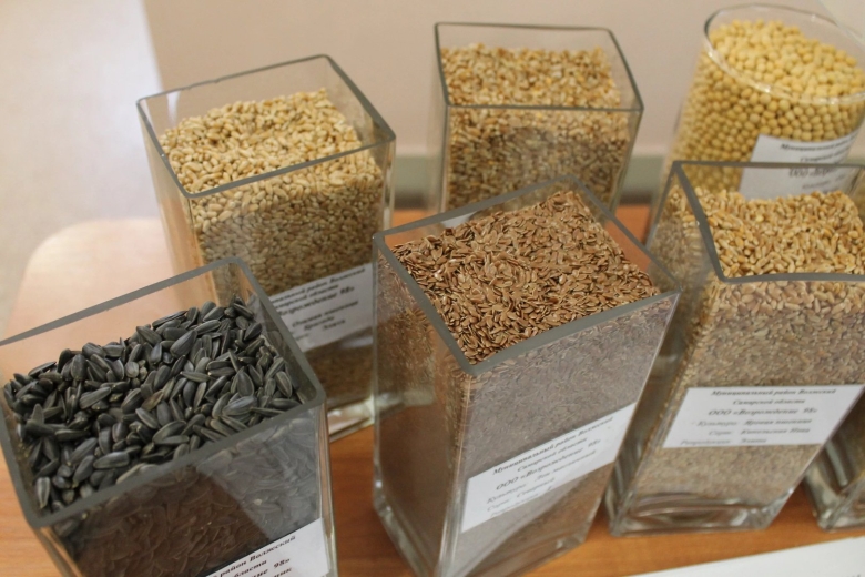 Элитное семеноводство