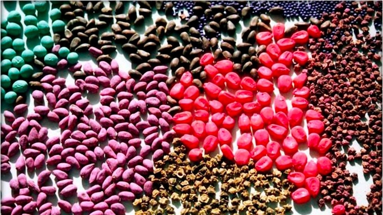 Протравители семян зерновых