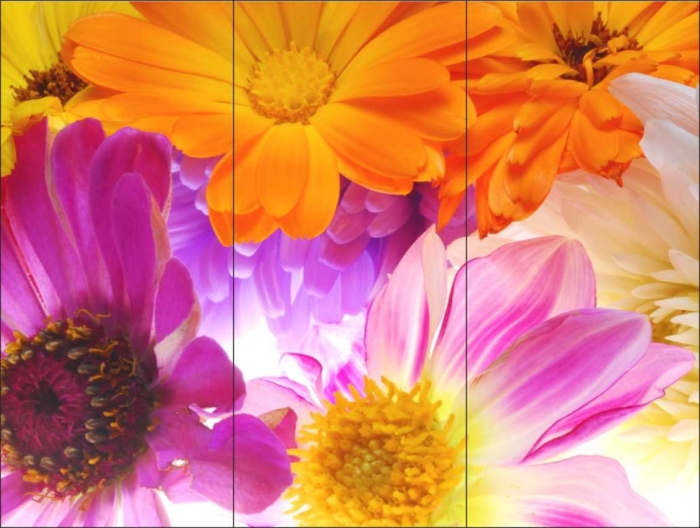 Яркие цветы