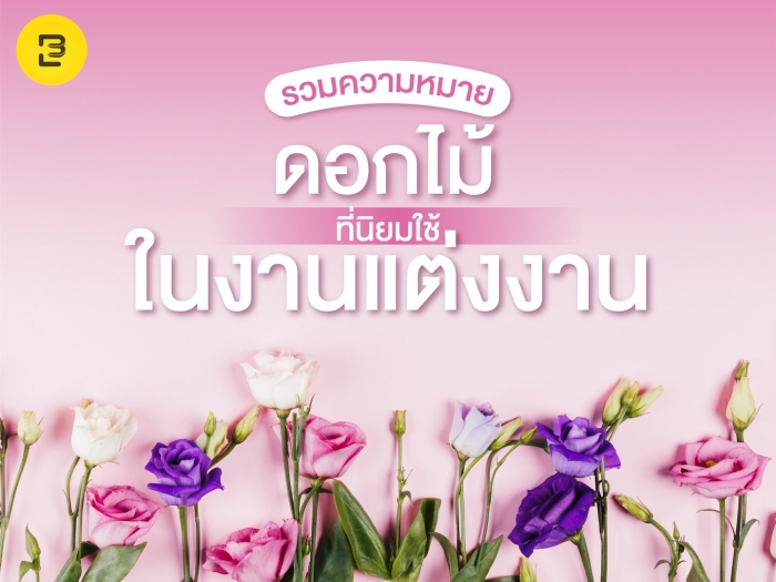 Эустома цветок