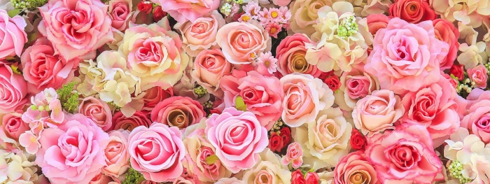 Фон розовые розы