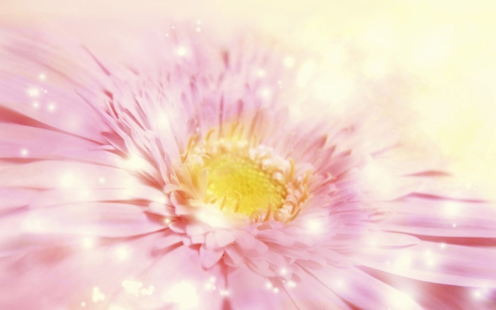 Фон цветы нежные