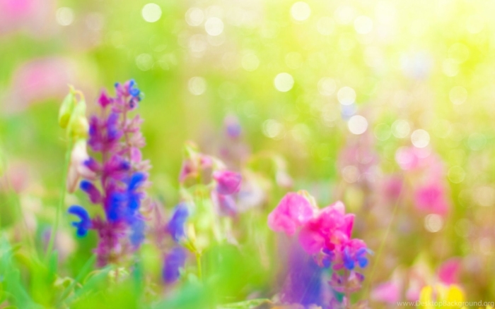 Красивый весенний фон