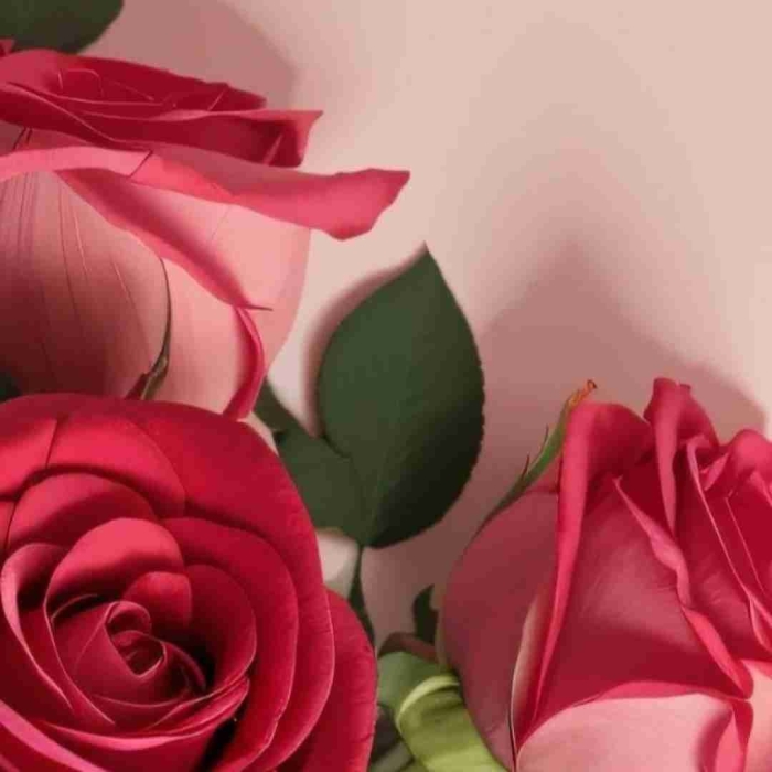 Цветочный фон