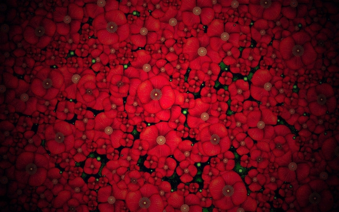 Красные цветки