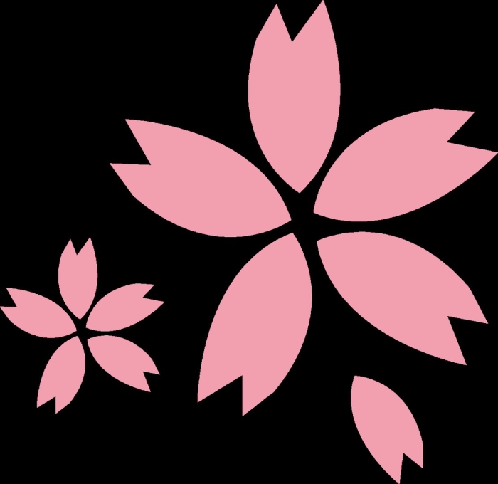 Цветок сакуры вектор