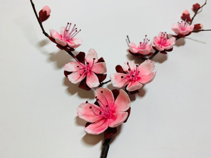 Сакура веточка