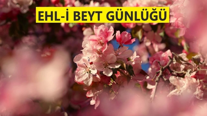 Цветение вишни