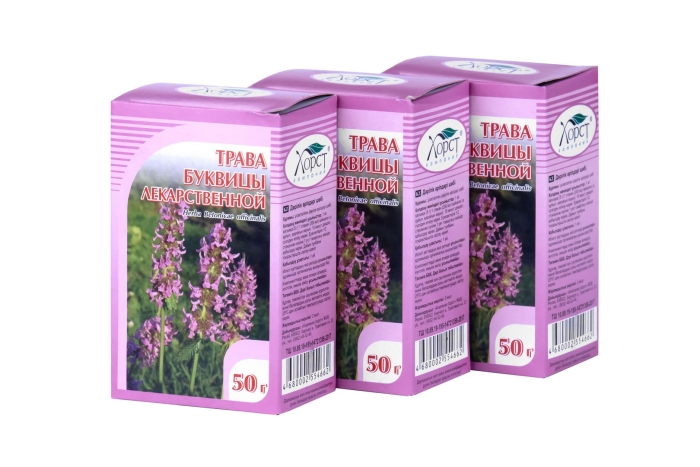 Буквица чистец лекарственный