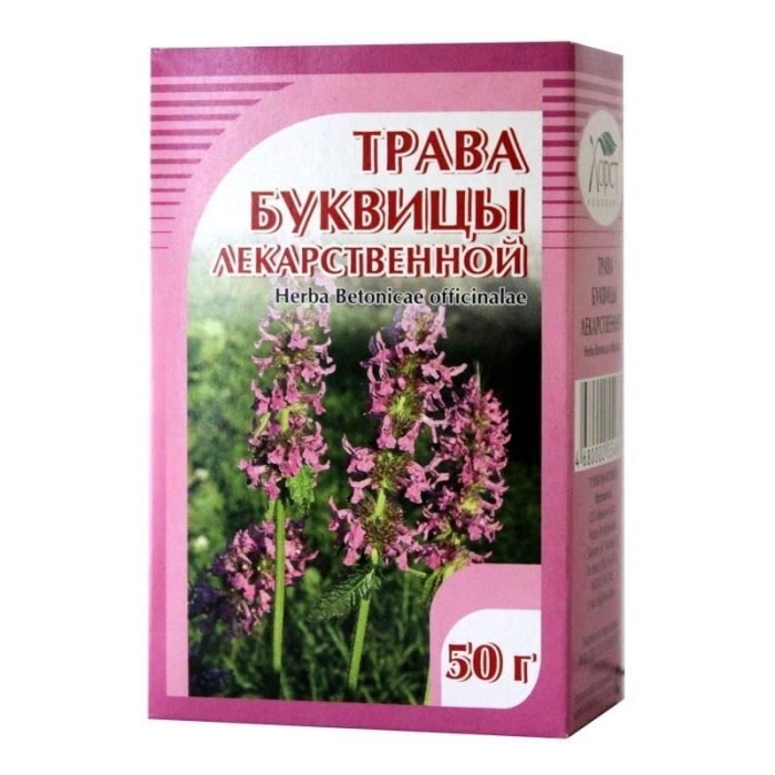 Хорст трава буквицы лекарственная