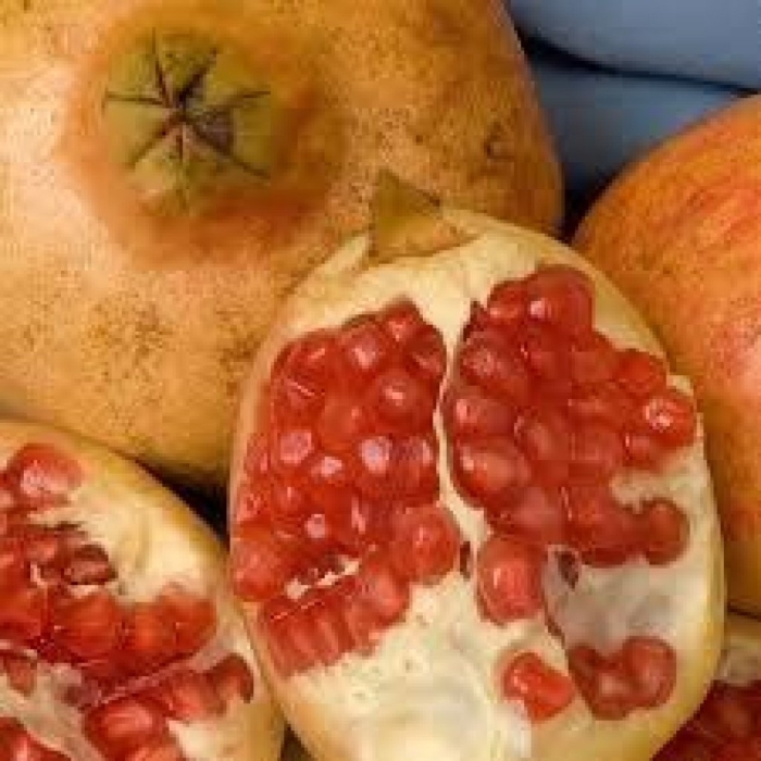 Гранат вандерфул