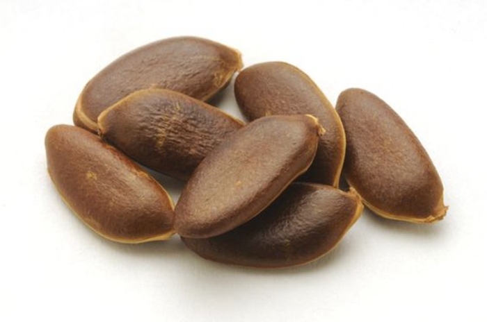 Что внутри косточки хурмы