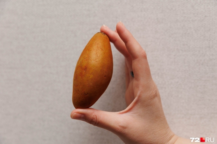 Саподилла косточки