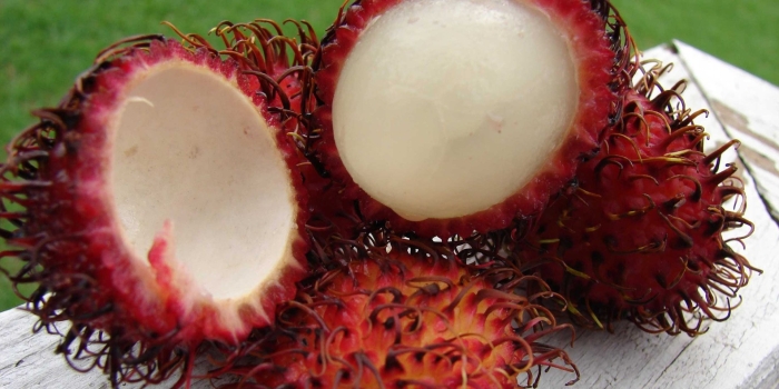 Экзотический фрукт рамбутан