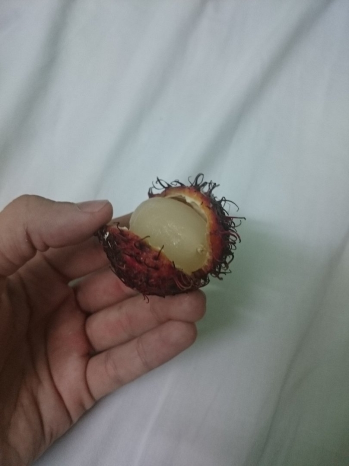 Рамбутан и личи