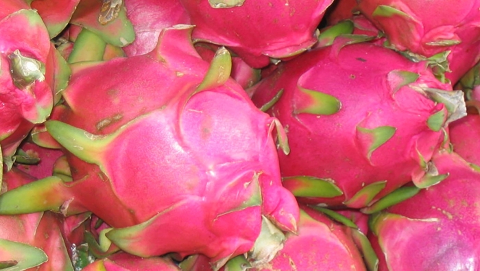 Питахайя красная