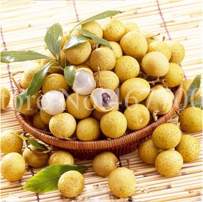 Фрукты тайланда лонган