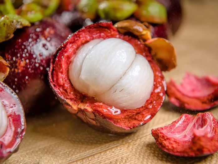 Мангостан мангустин