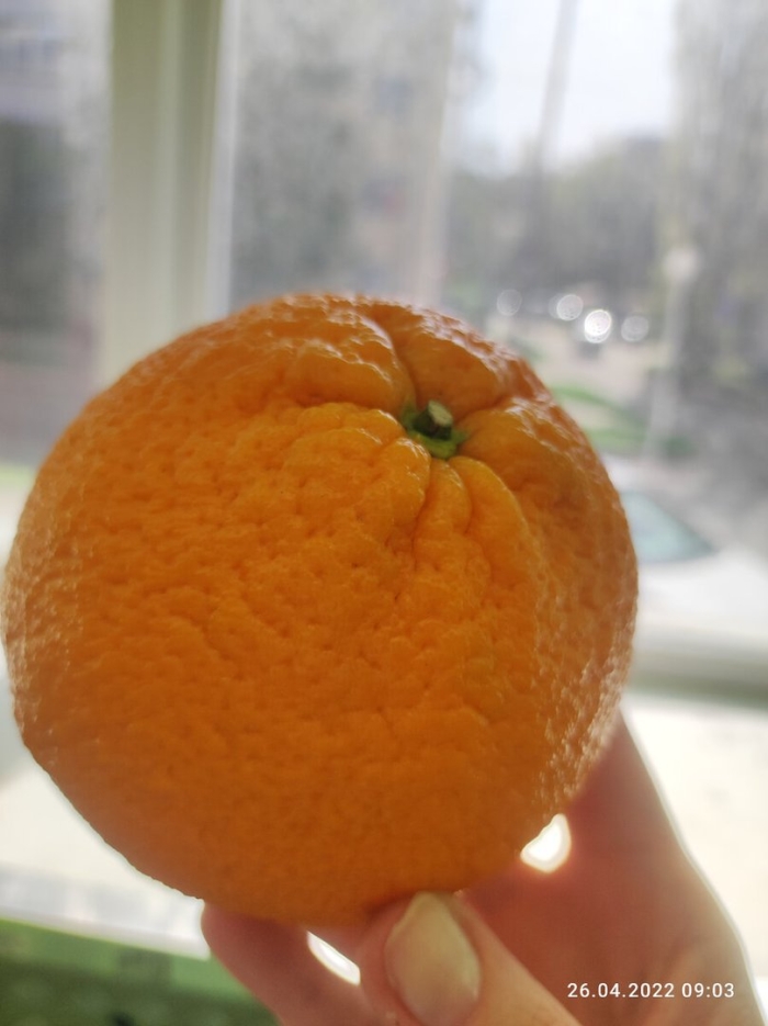 Спелый апельсин