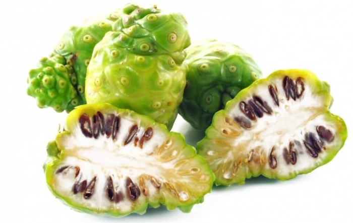 Нони - моринда цитрусолистная