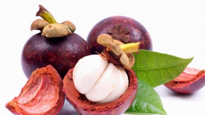 Мангостан мангустин