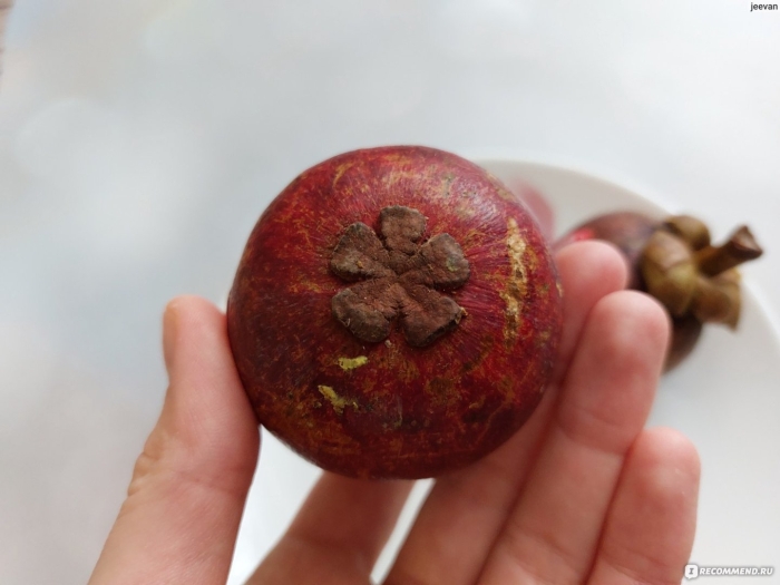 Фрукт мангустин засушить корку