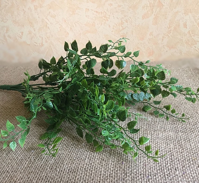 Луцерина зелень