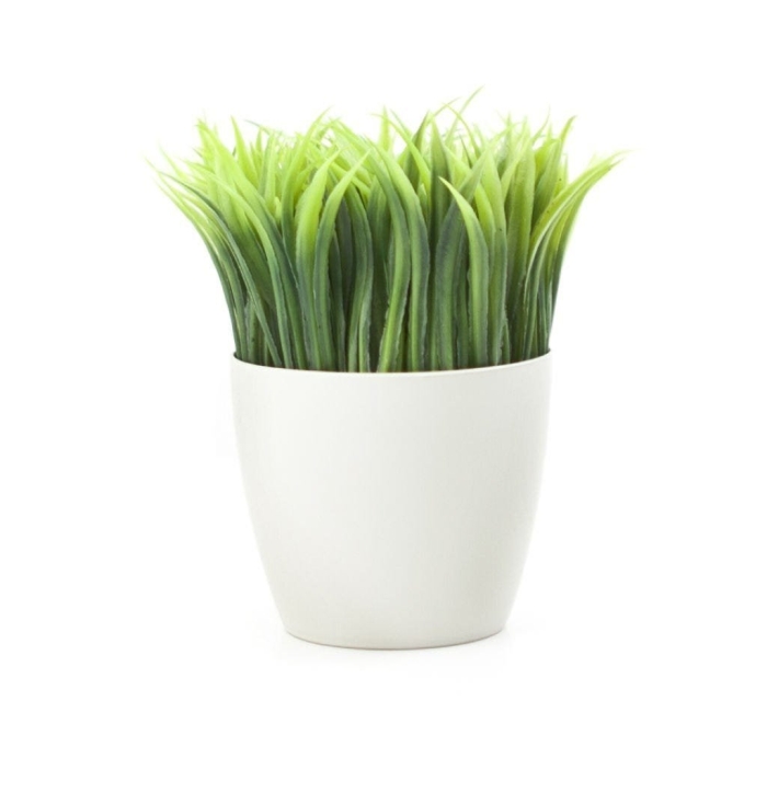 Искусственная растения