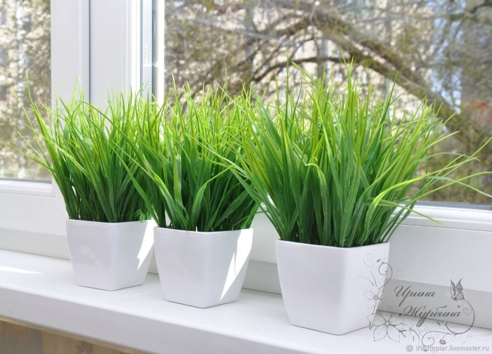 Трава осока икеа