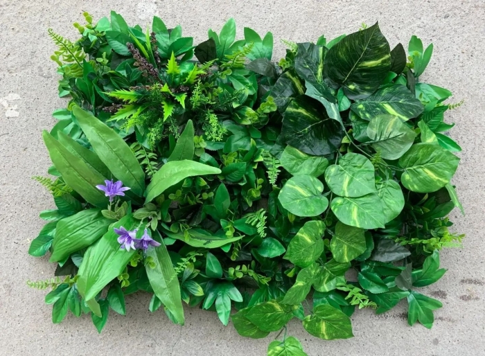 Фитостена с монстерой