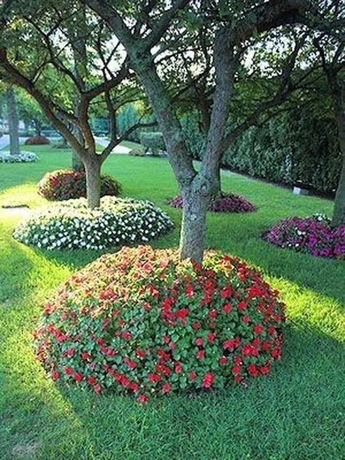 Landscaping ideas