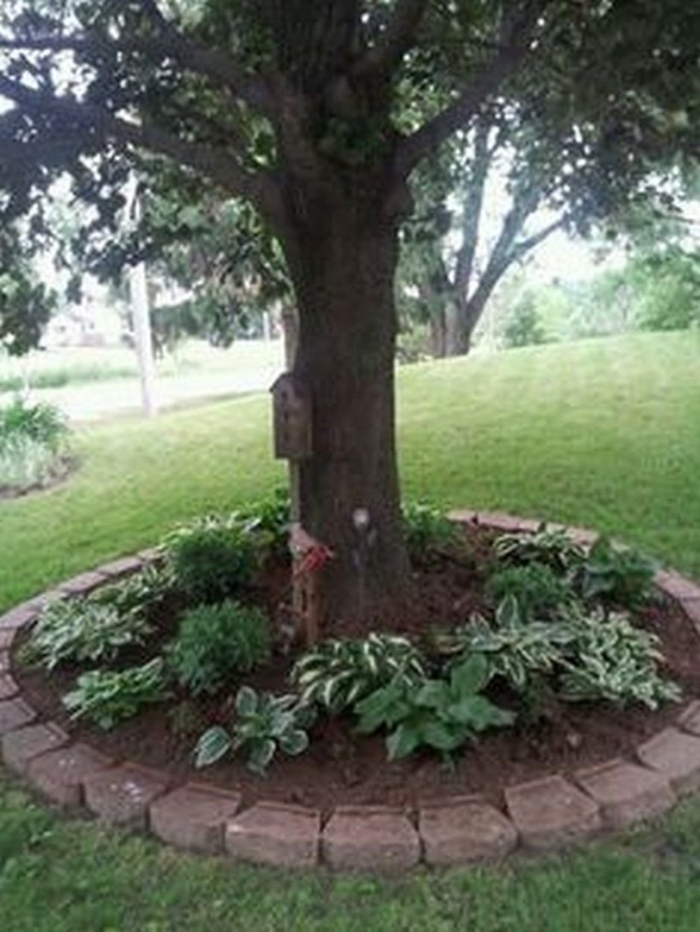 Клумба вокруг дерева