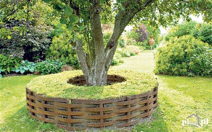 Ограждение вокруг дерева