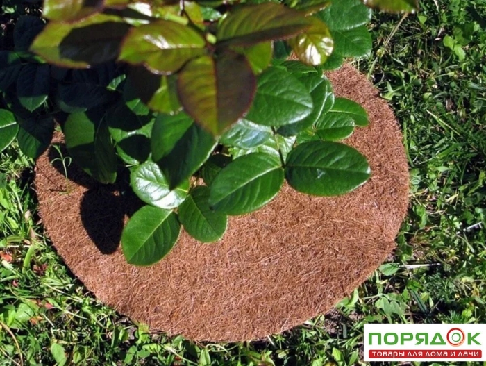 Кокосовая мульча