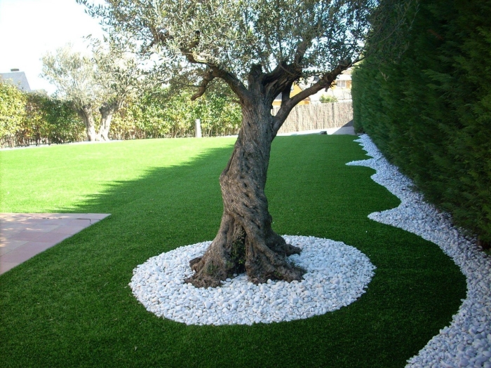 Дизайн сада