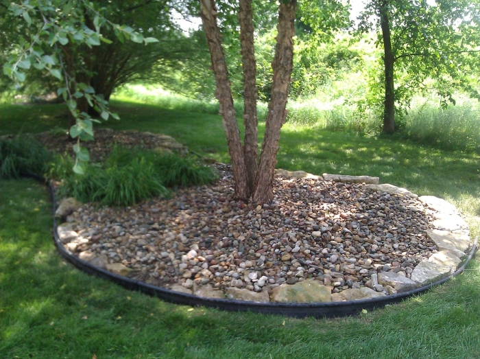 Приствольный круг яблони