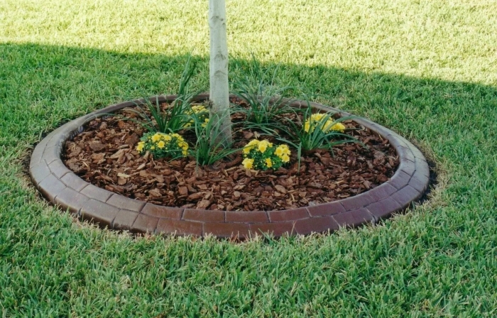 Приствольный круг плодовых деревьев бордюр