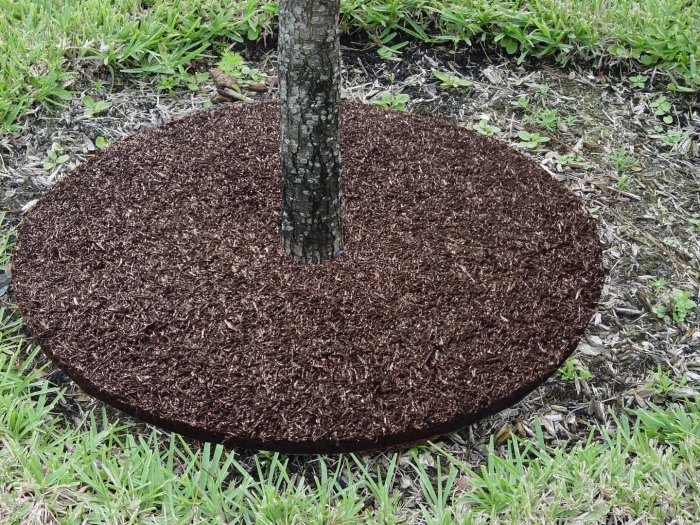 Мульчирование корой приствольный круг