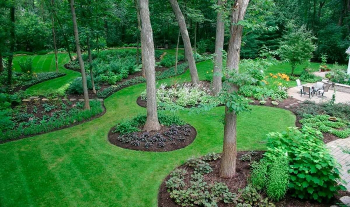 Ландшафтный дизайн сад